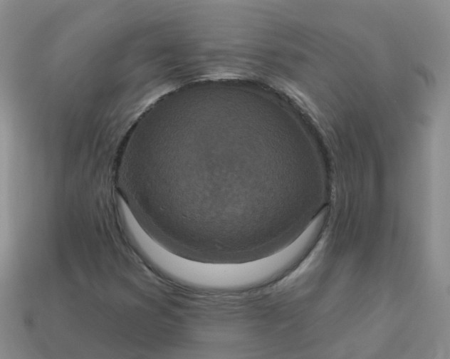 X0000113881353200910081738