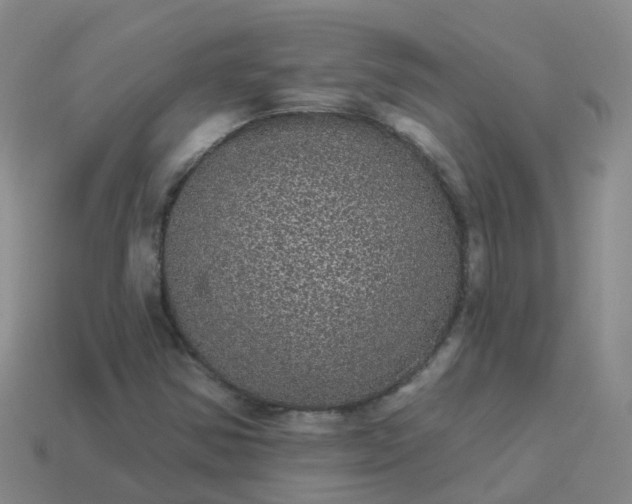 X0000113881354200910081738