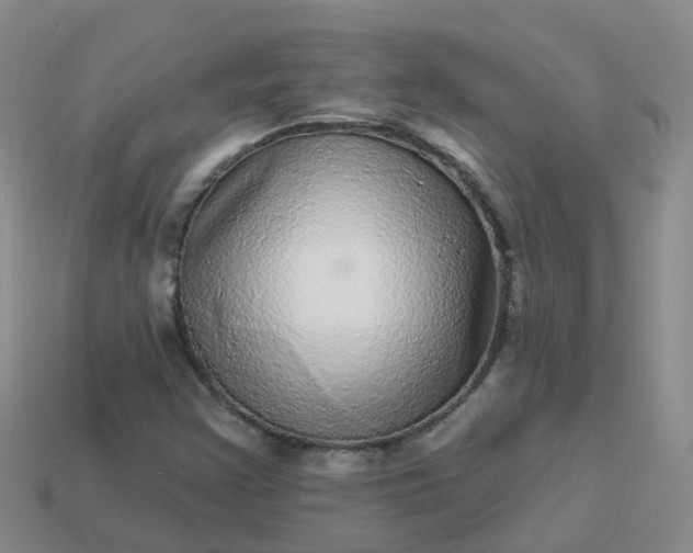 X0000113881355200910081738