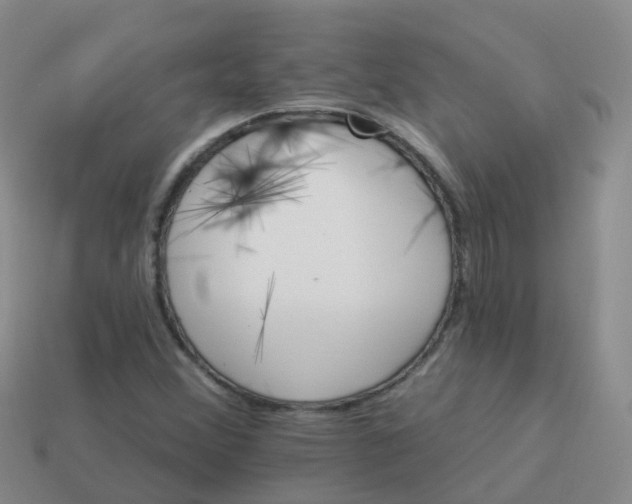 X0000113881356200910081738