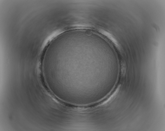 X0000113881357200910081738