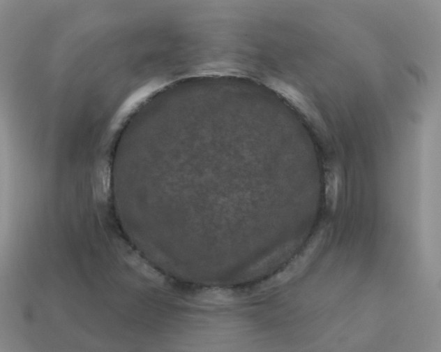 X0000113881358200910081738