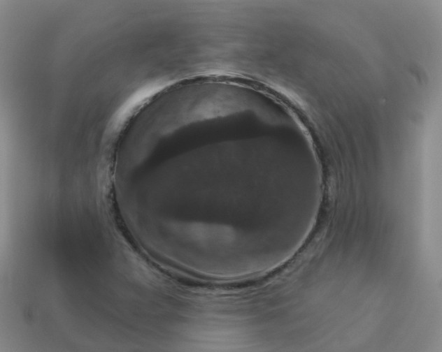 X0000113881359200910081738