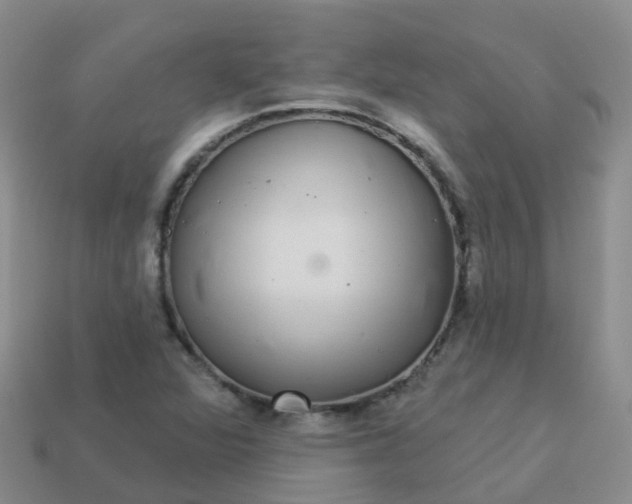 X0000113881360200910081738