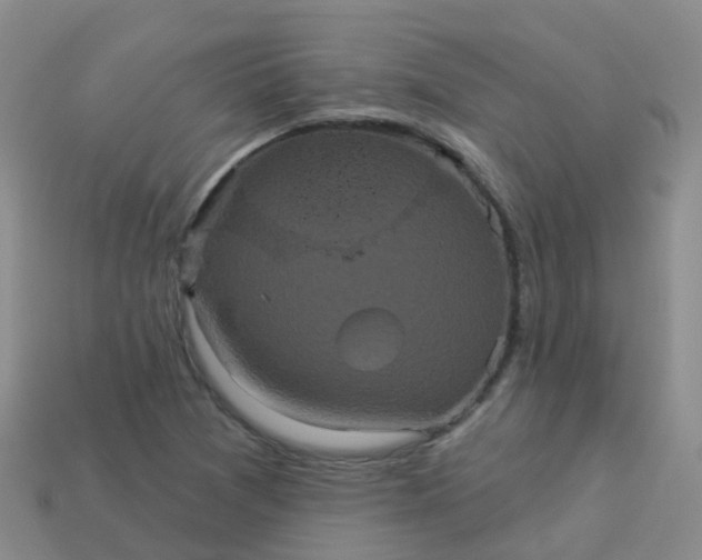 X0000113881361200910081738