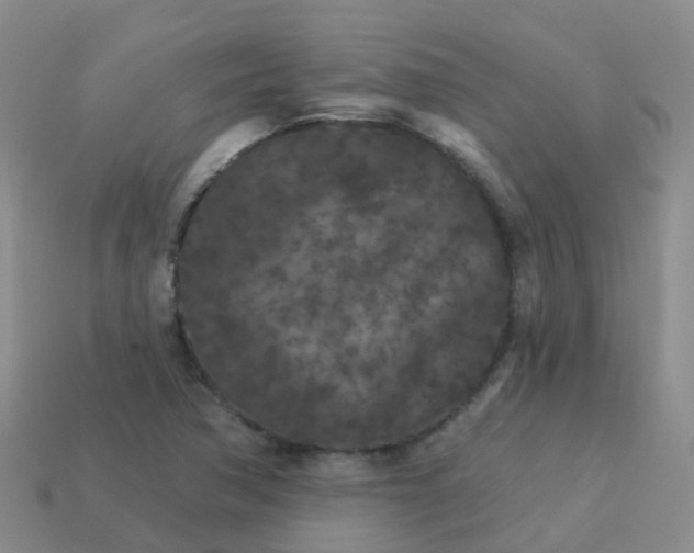 X0000113881362200910081738