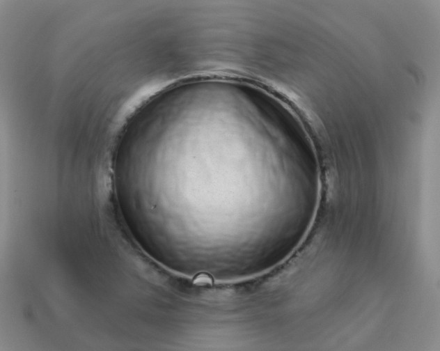 X0000113881363200910081738