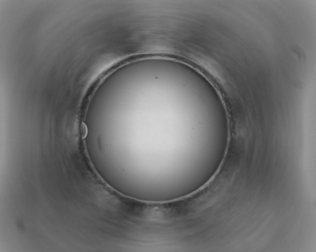 X0000113881364200910081738