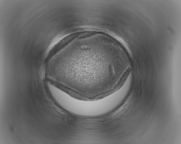 X0000113881365200910081738