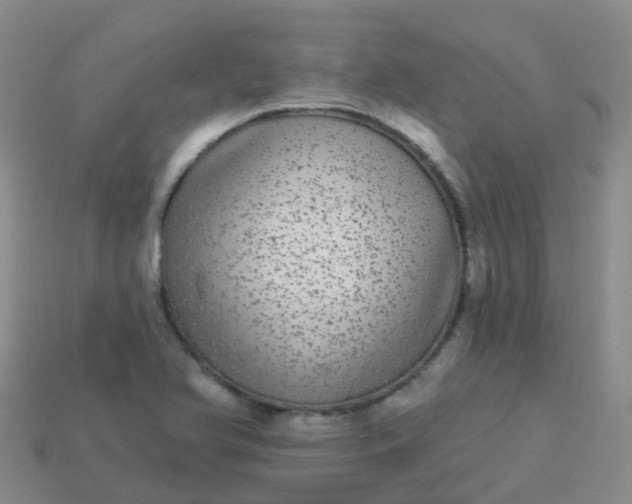 X0000113881366200910081738