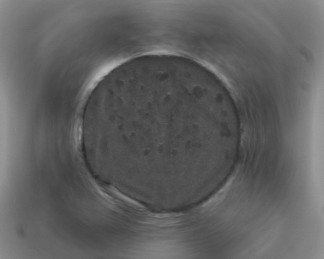 X0000113881367200910081738