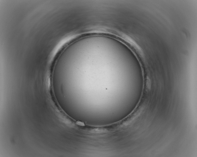 X0000113881368200910081738