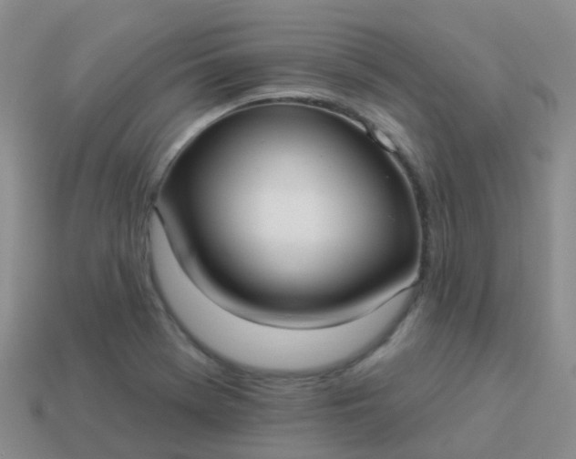 X0000113881369200910081738