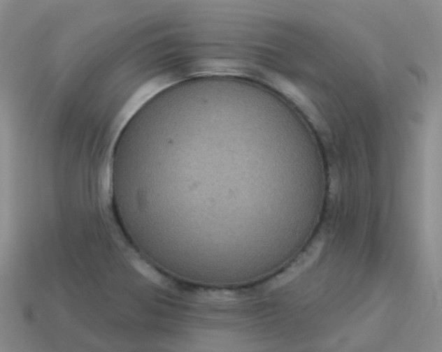 X0000113881370200910081738