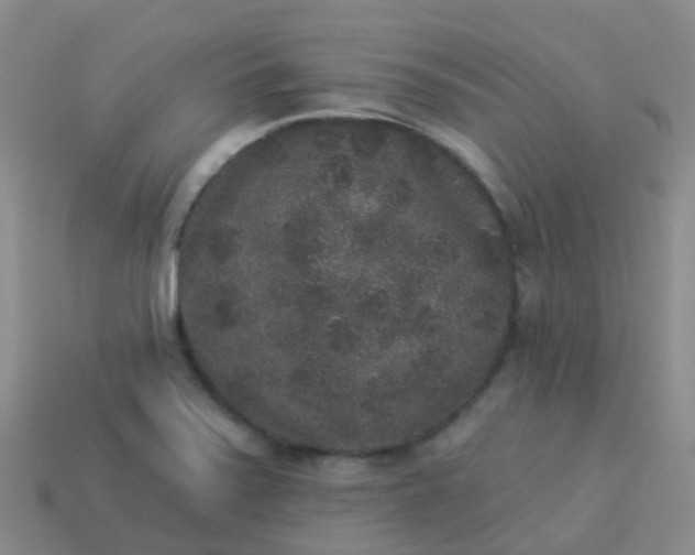 X0000113881371200910081738