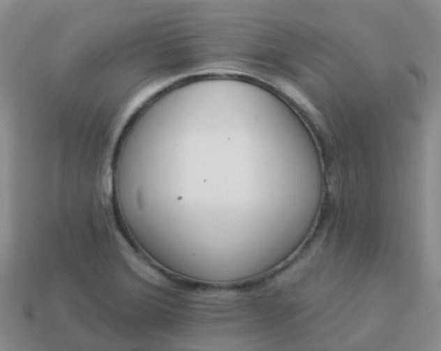 X0000113881372200910081738