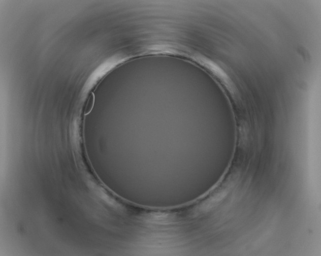 X0000113881373200910081738