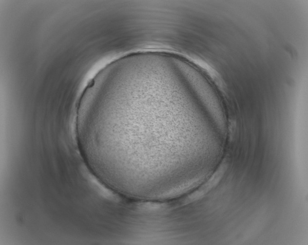 X0000113881374200910081738