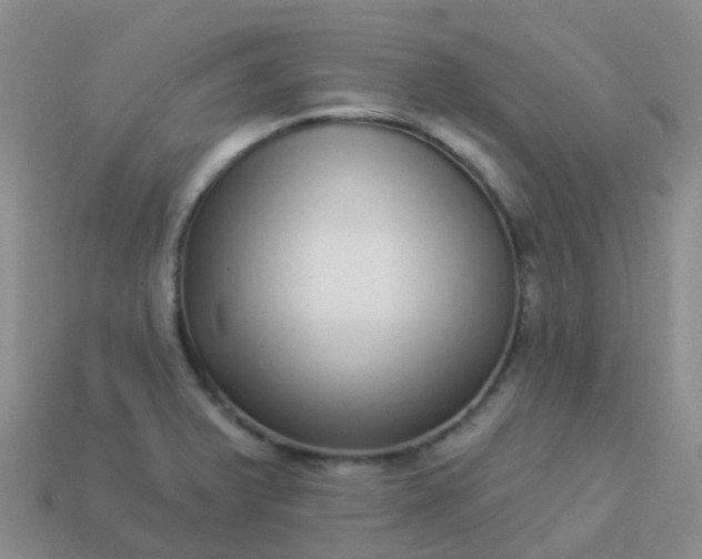 X0000113881375200910081738