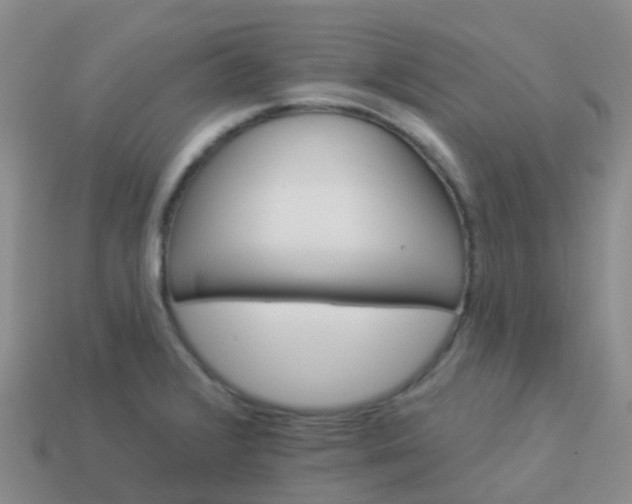 X0000113881376200910081738