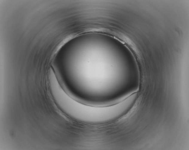 X0000113881377200910081738