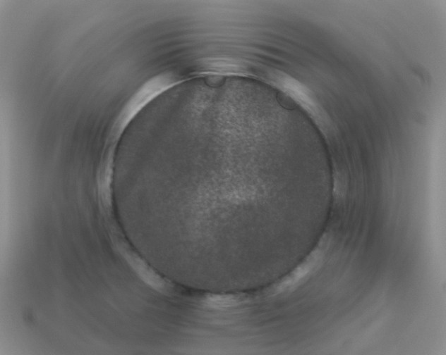 X0000113881378200910081738