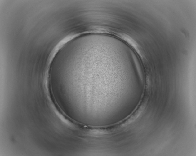 X0000113881379200910081738