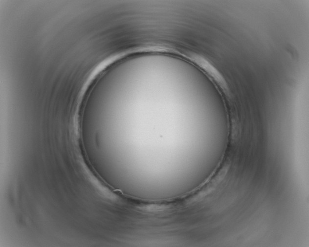 X0000113881380200910081738