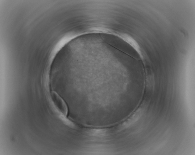 X0000113881381200910081738