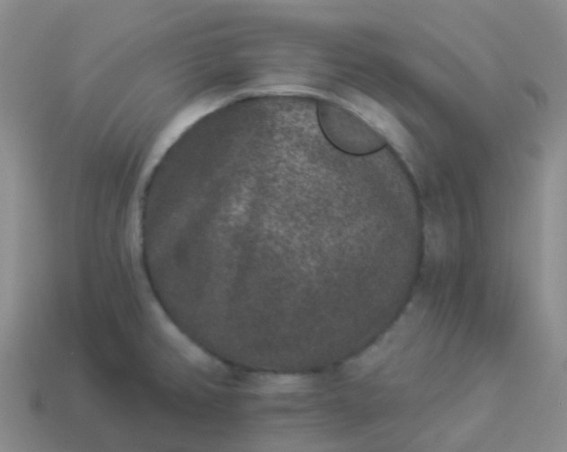 X0000113881382200910081738