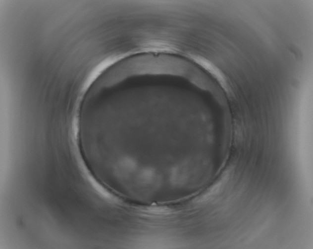 X0000113881383200910081738