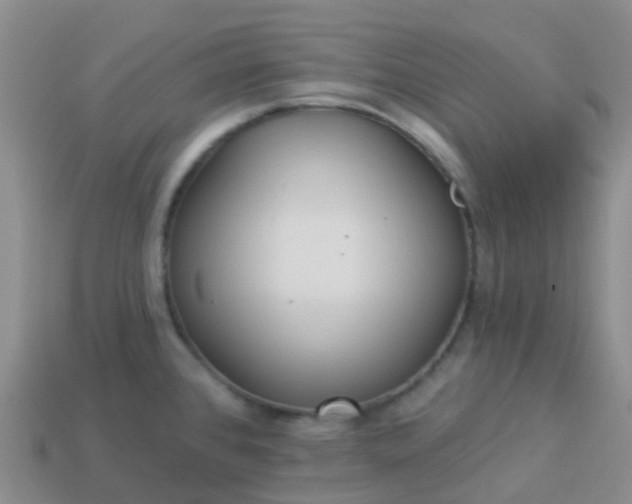 X0000113881384200910081738