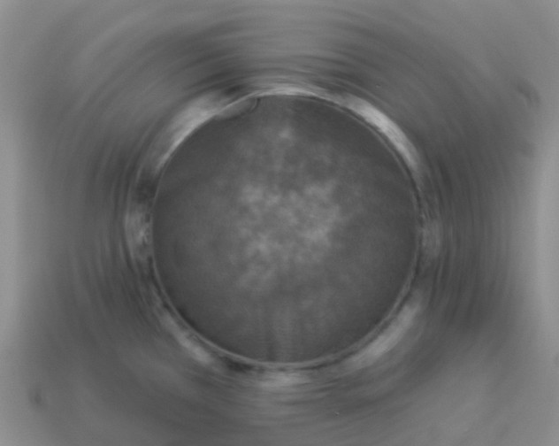 X0000113881385200910081738