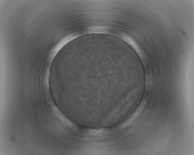 X0000113881386200910081738