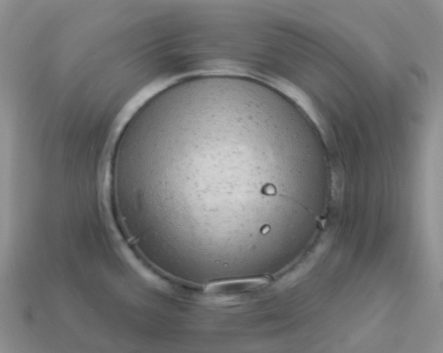 X0000113881387200910081738