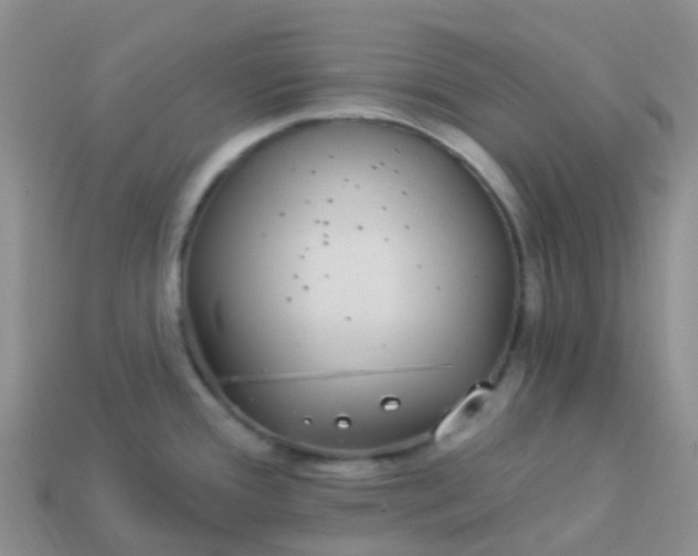 X0000113881388200910081738