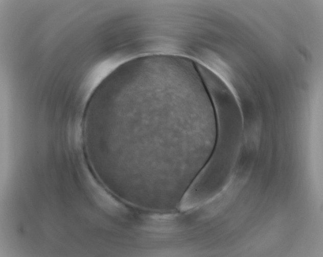 X0000113881389200910081738