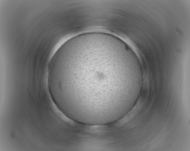 X0000113881390200910081738