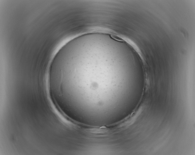 X0000113881391200910081738