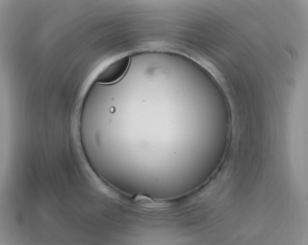 X0000113881392200910081738