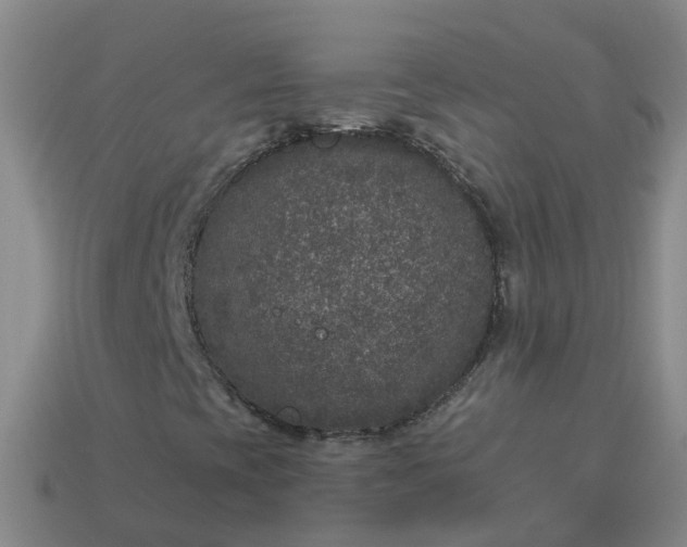 X0000113881393200910081737