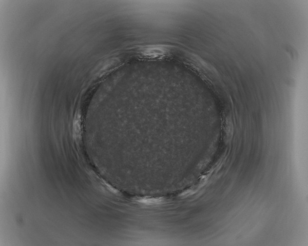 X0000113881394200910081737