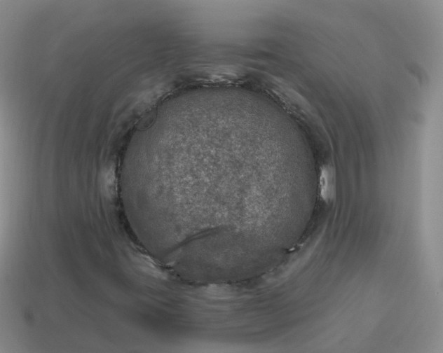 X0000113881395200910081737