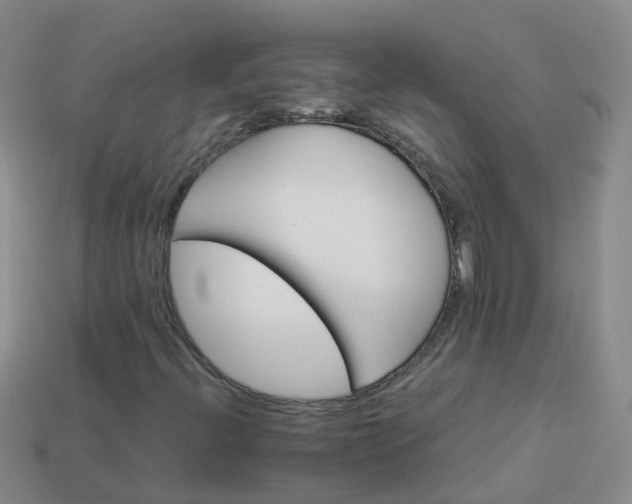 X0000113881396200910081737