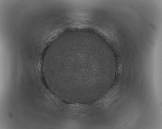 X0000113881397200910081737