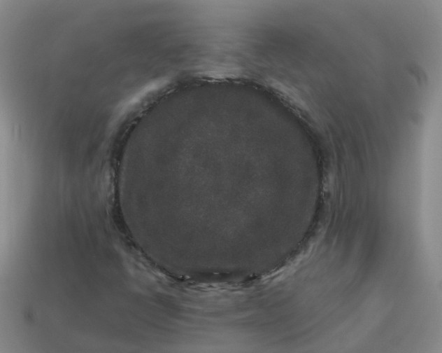 X0000113881398200910081737