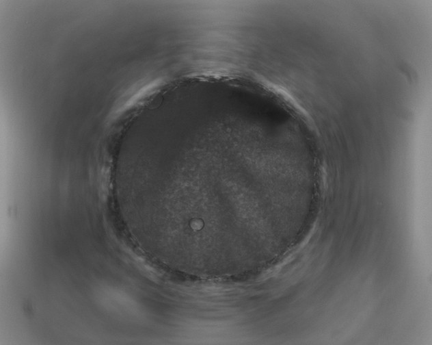 X0000113881399200910081737