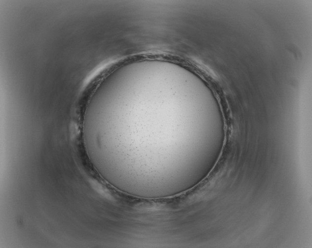 X0000113881400200910081737