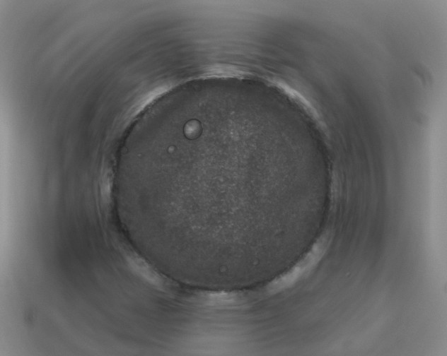 X0000113881401200910081737