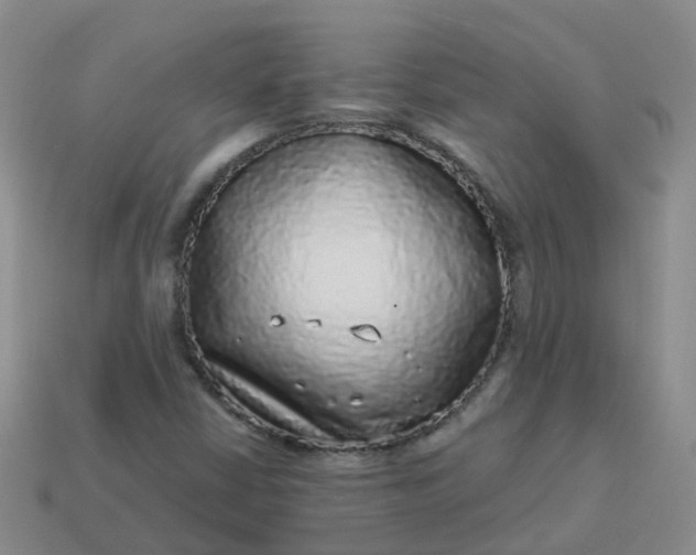 X0000113881402200910081737